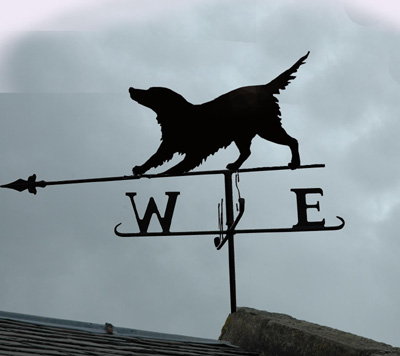 dog iron wrought weathervane